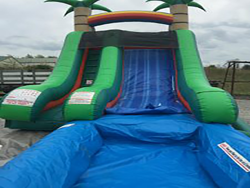 TROPICAL SLIDE AND POOL